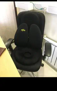 پشتی طبی زیفن