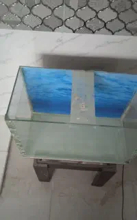 اکواریوم