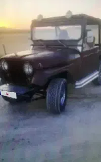 جیب