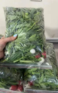 سبزی