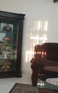 ویترین در حد نو