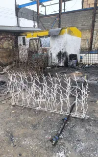 بیش از 20مدل آماده ارسال