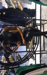 مانکن