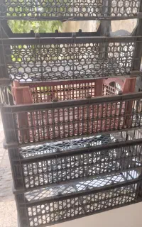 سبد پلاستیکی