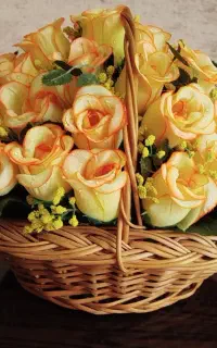 گل رومیزی ،گل گندمی