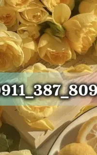 خط دائمی 0911 پله ای