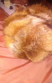 کلا۶ پوست اصل روس