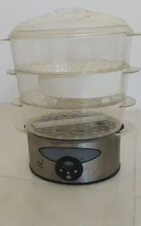 بخار پز