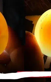 تخم نطفه دار عروس هلندی مو خوم