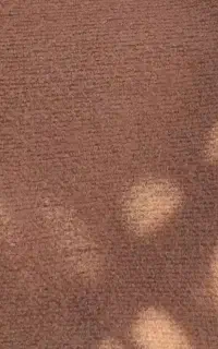 ۲۴مترموکت
