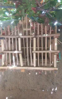 قفس چوبی دست بافت