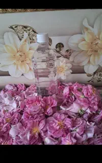گلاب کاملا طبیعی(گلاب غنچه)