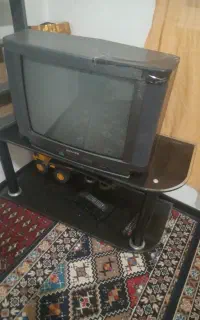 تلویزیون