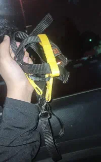 قلاده
