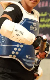 هوگو طرح الکترونیک