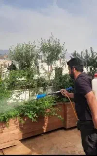 باغبانی وسم پاشی هرس