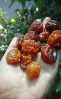 الو خورشتی بدون تیزاب و رب انار غلیظ