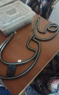 چراغ