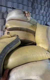 پوکه تخمه