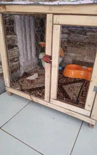 قفس سگ