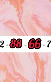 0912-88-66-763