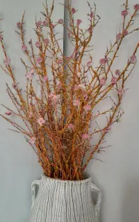 گل دان و گلش شیگ و نو سالم خوش رنگ