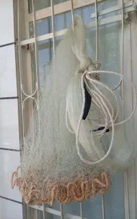 تور ماهیگیری