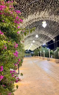 ریسه سوزنی ۵۰متری نور آفتابی