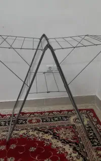بندرخت