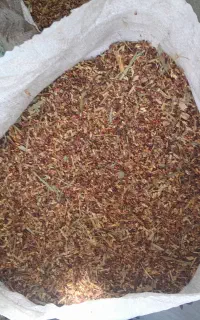 تخم جارو برای کبوتر  و  پرنده