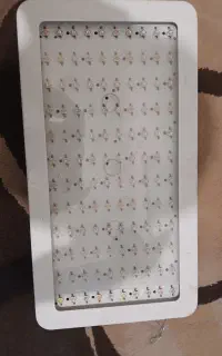 پرژکتور پرورش گل