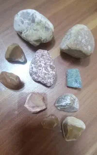 سنگ عقیق . فسیل . کلکسیونی