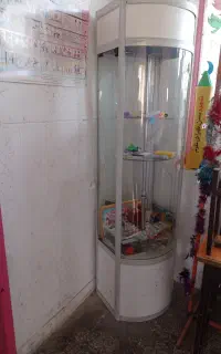ویترین گردان