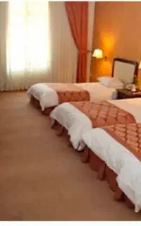 استخدام نیروی فعال