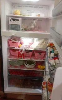 غذای خانگی