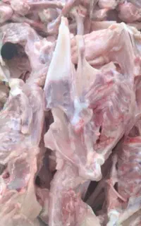 آشغال مرغ(سر بال و سر دنده)