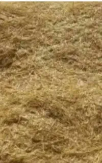 کاه عدس ونخود