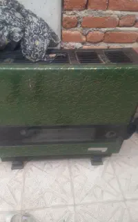 بحاری