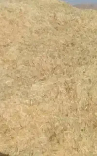 کاه هلر
