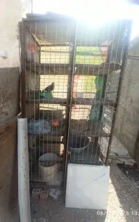 قفس کبوتر ۱۰ جفت