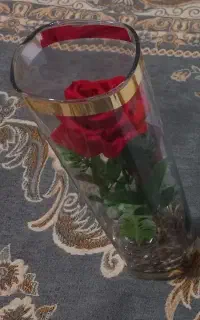 گل زیبا
