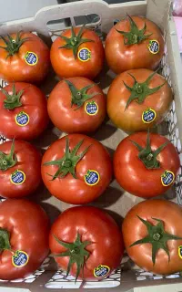 استخدام نیروی خانم