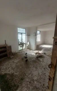 ۱۵عدد کبوتر جوان سرحال