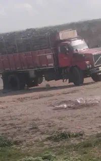 ولووتک باری