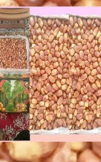 خرمای زاهدی ((درجه1))