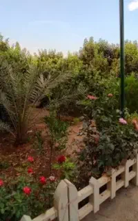 نظافتچی خانم خوش اخلاق مسئولیت پذیر برای کار ساعتی