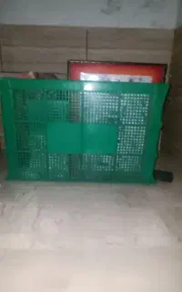 سبد