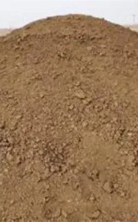 کود گوسفندی