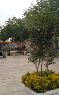هرس، سمپاشی و خدمات باغبانی