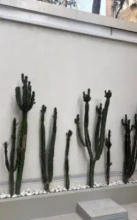 خدمات باغبانی باغچه گلدون وهرسکاری سم پاشی وکود هی